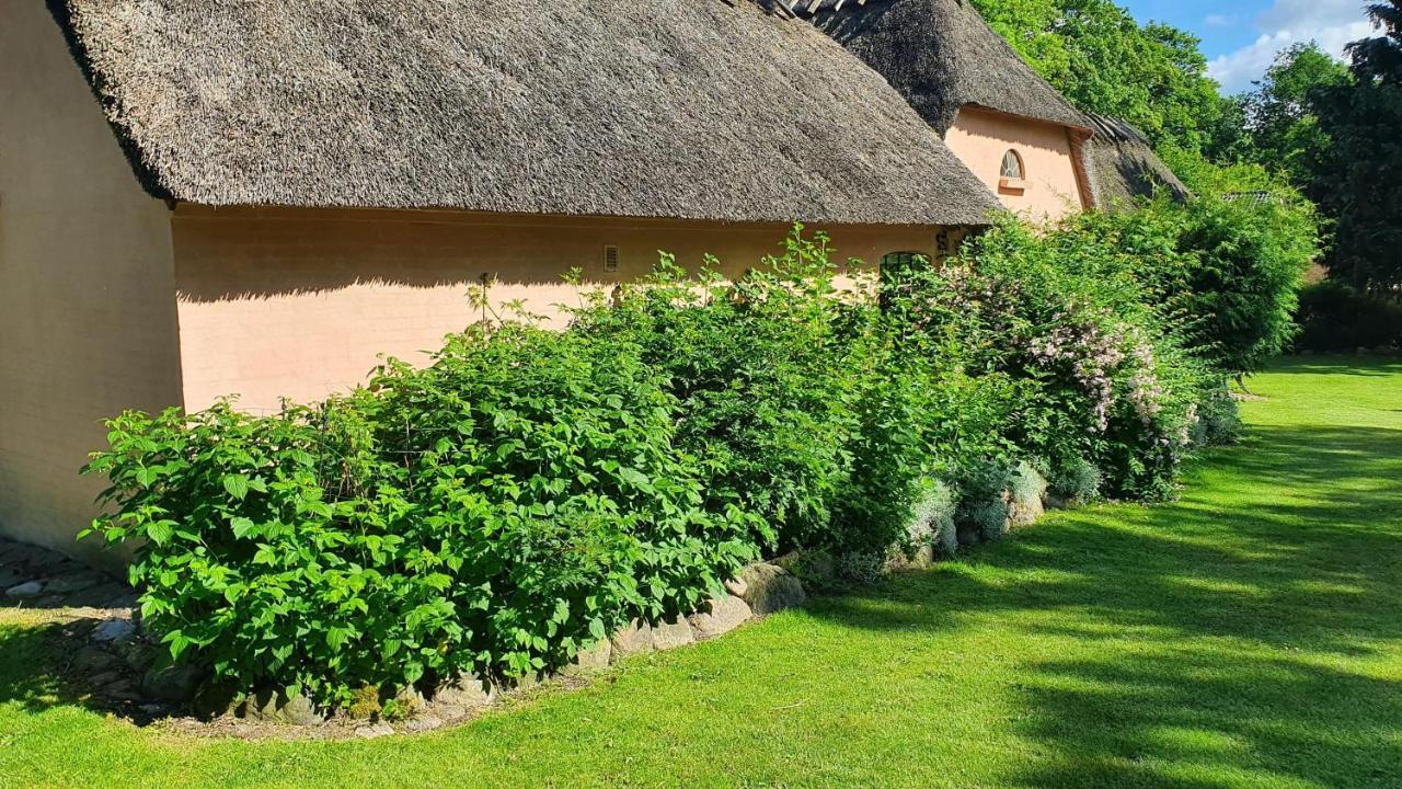 Liebhaveri I Saerklasse Årup Exterior foto